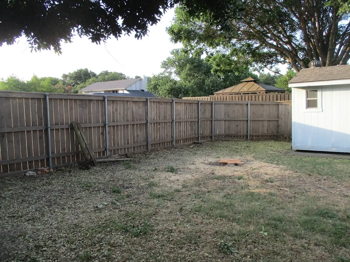 Cleared yard after professional tree removal in Brighton